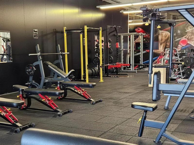 Le plateau musculation : bancs, racks et cages à squat